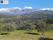 Kalochorafitis Kreta, Kalochorafiti: Landwirtschaftliches Grundstück mit 170 Olivenbäumen Grundstück kaufen